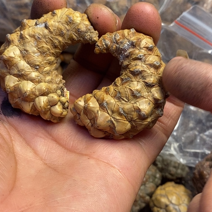 文玩核桃吊坠东北特产121