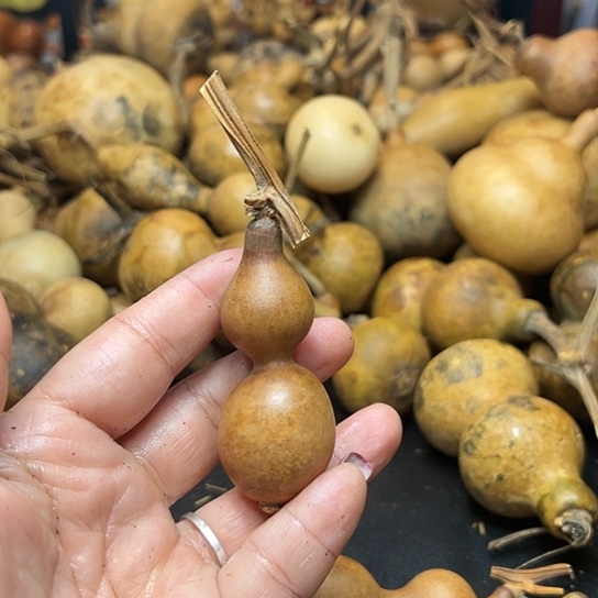 _***@葫芦葫芦葫芦葫芦