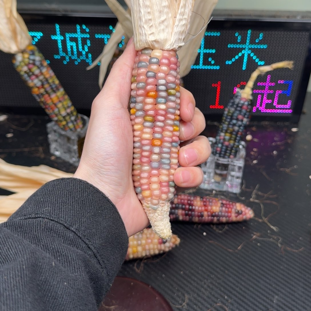 柏香籽/百香籽吊坠荷***鑫