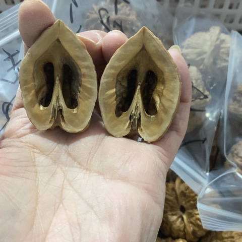 文玩核桃把件哈哈哈