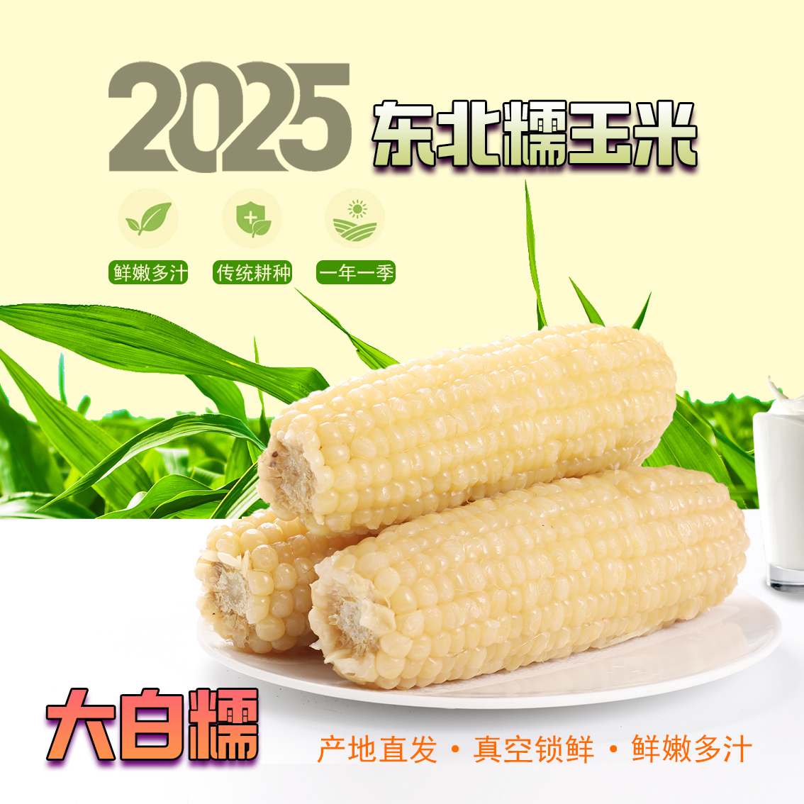 【试吃5根】2025年新鲜东北白糯玉米10根装香甜软糯