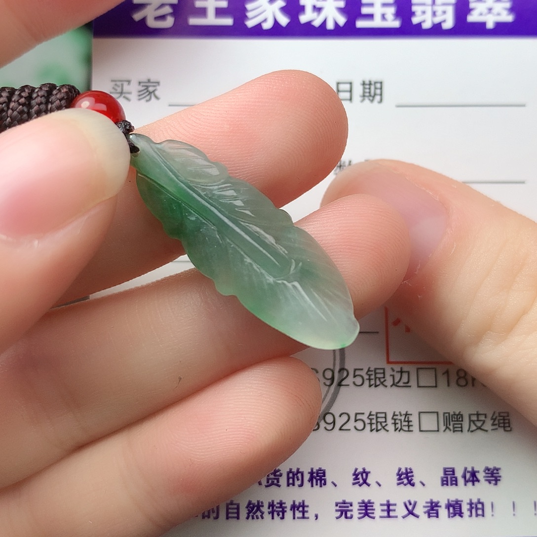 翡翠未镶嵌颈饰羽毛