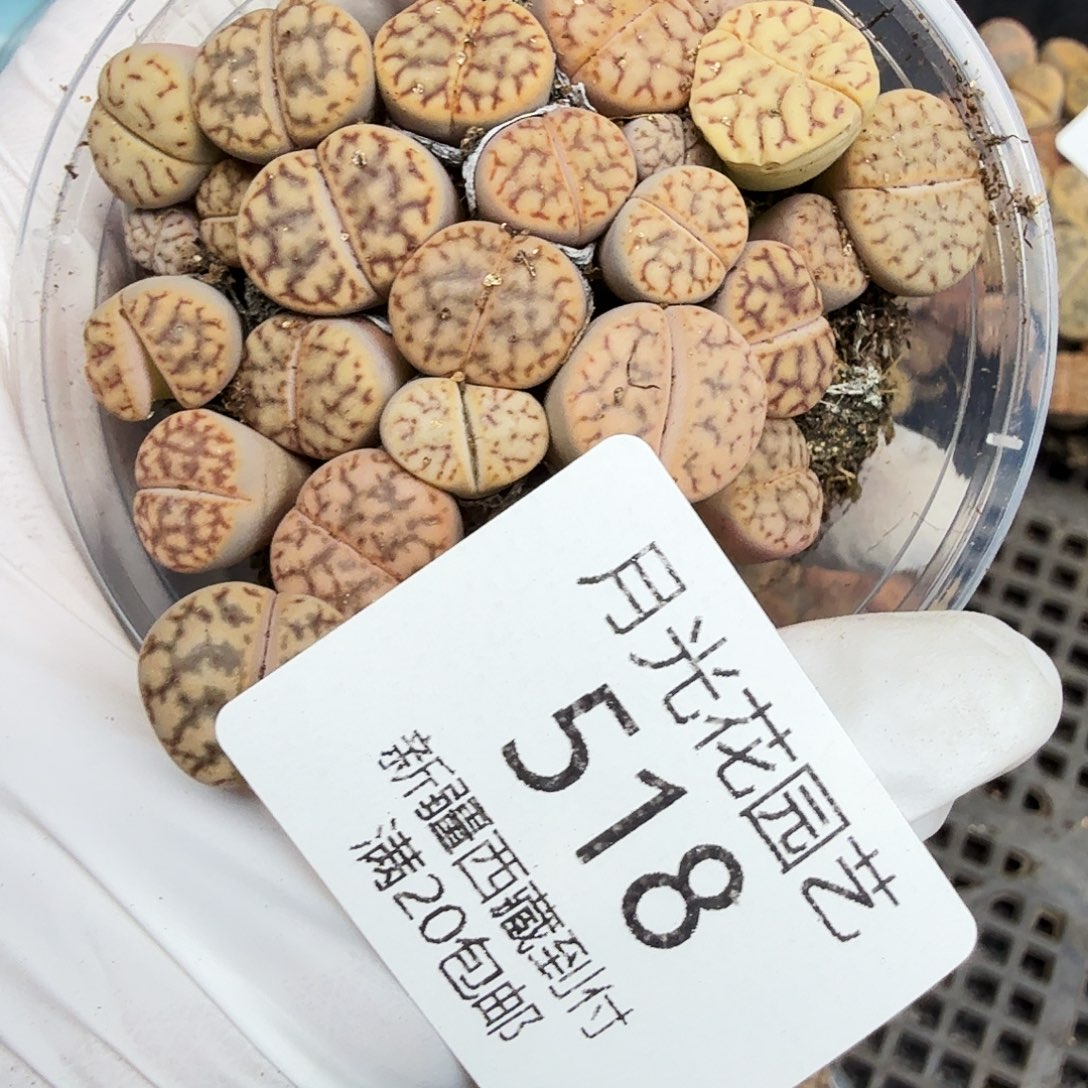 不用我送过去呀518这个