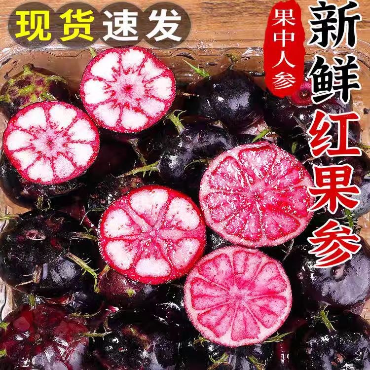 【云南红果参】鲜果蜘蛛果稀奇水果应当季新鲜深山野果现摘现发大果