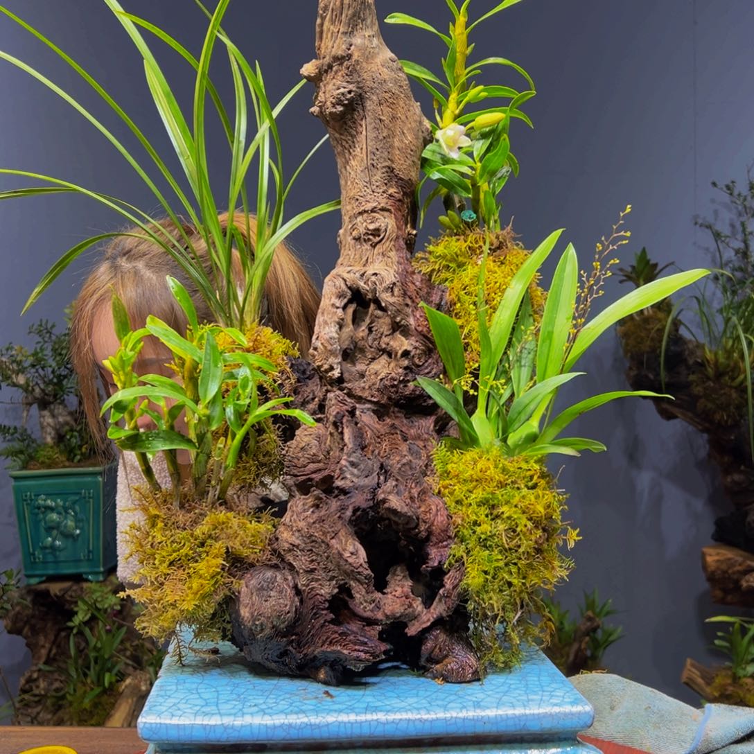 如***好完全开放111111111111