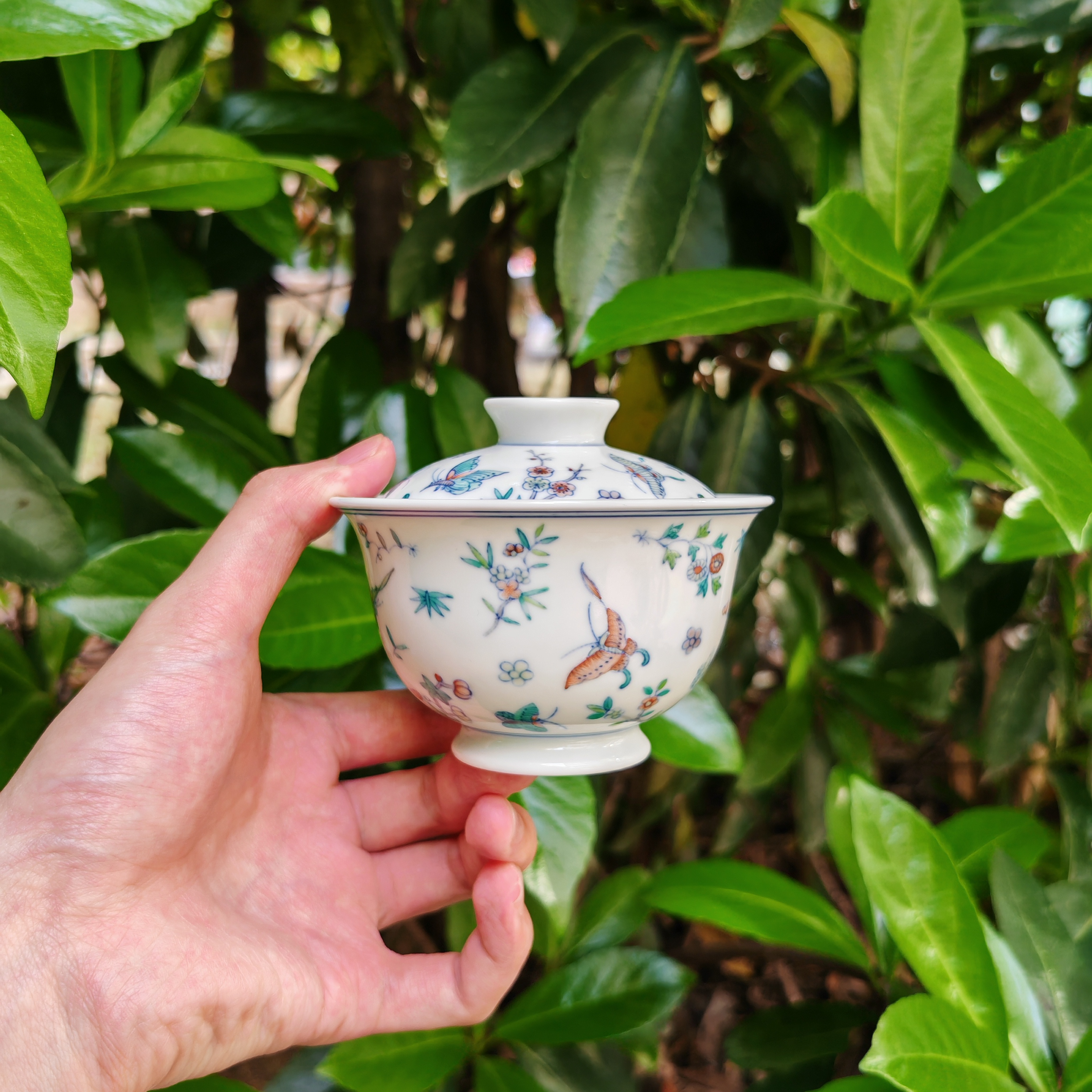 明逸堂手绘陶瓷|青花斗彩蝶恋花盖碗茶具