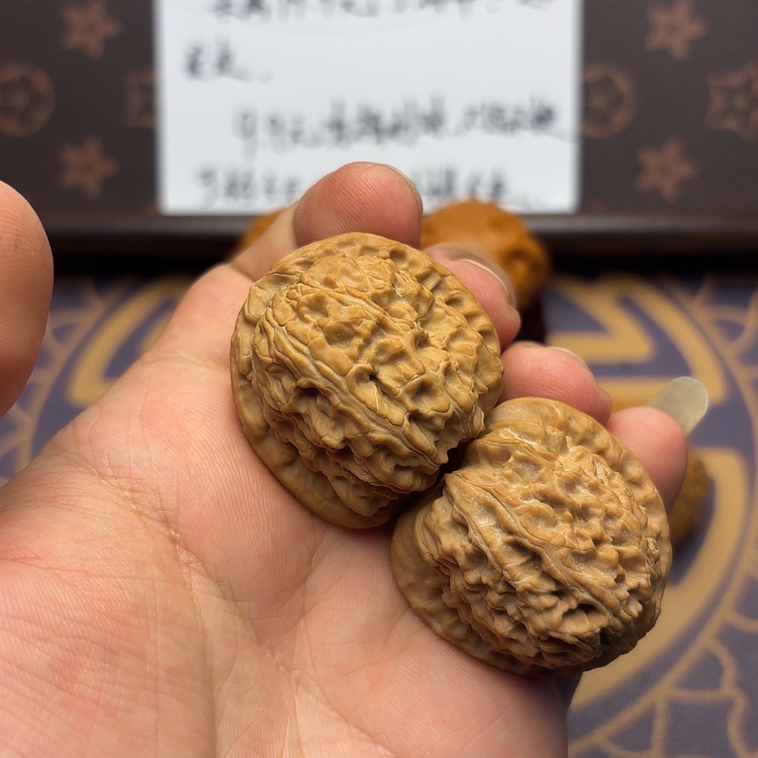 核桃02号 福利 白狮子