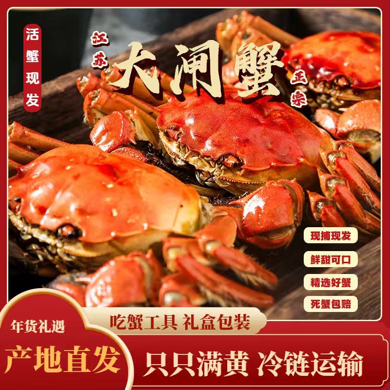 【活蟹现发】鲜活大闸蟹 公5.0-4.7两-母4.0-3.7两 6只/8只/10只