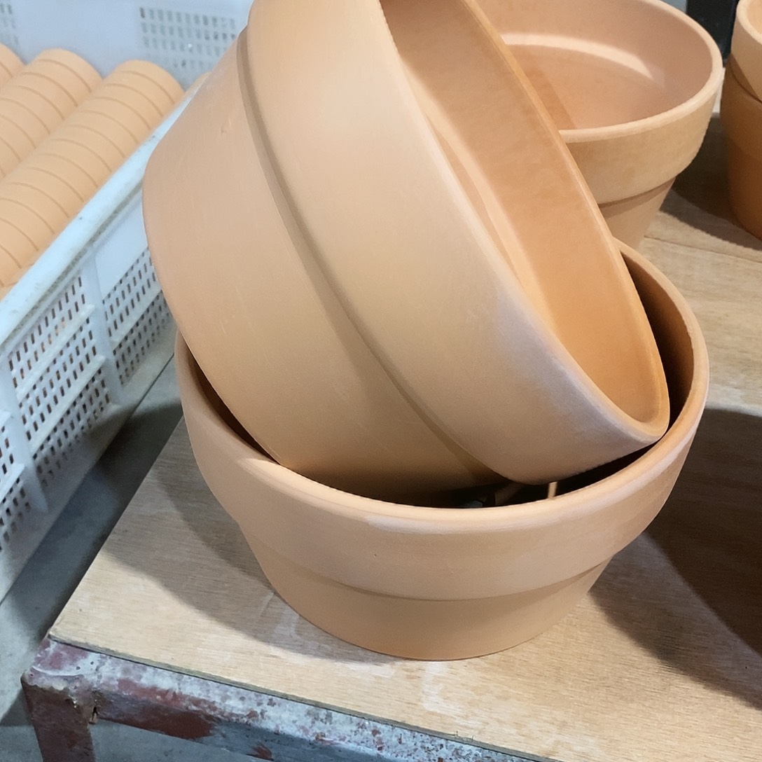 红陶20×11-2                 