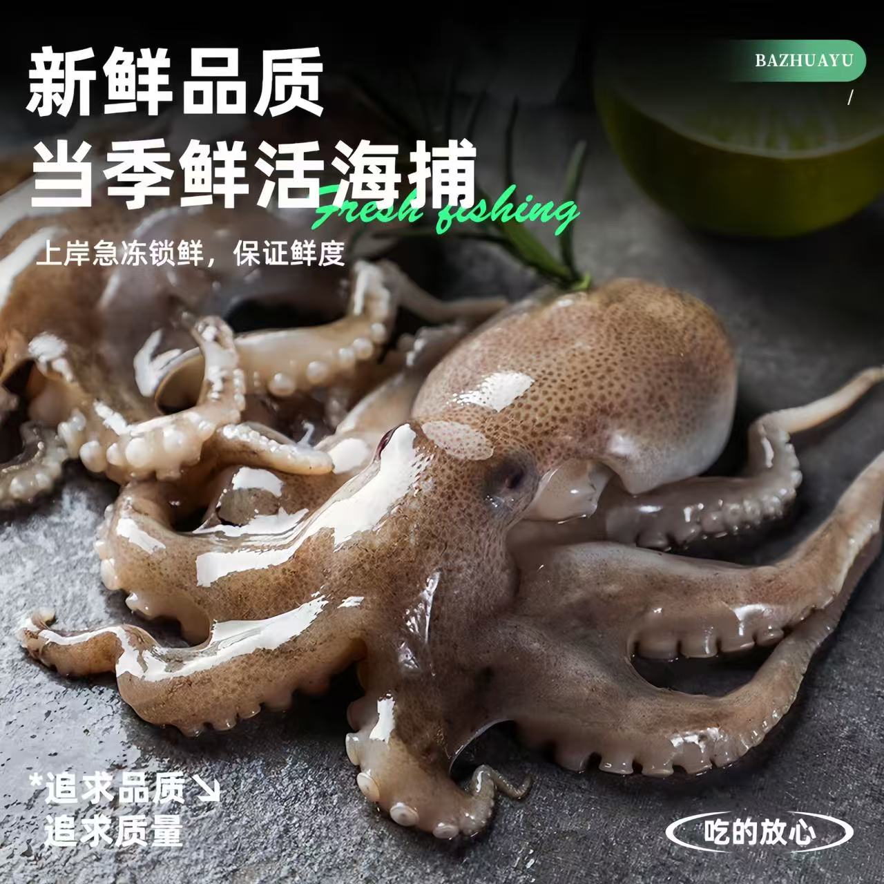 【小林优选】海捕八爪鱼新鲜品质口感劲道有嚼劲1.5kg净重新疆包邮