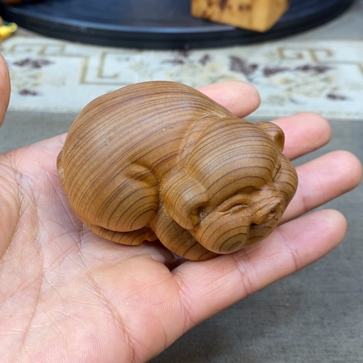 柏木（崖柏）崖柏1