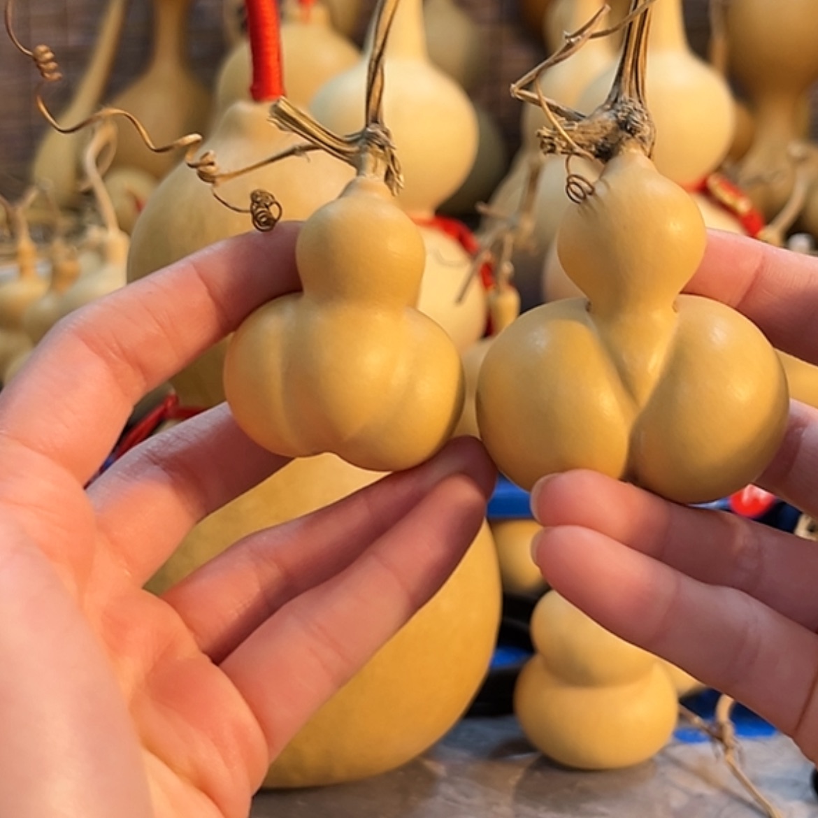 【闪购商品】T****"他他他他他他他他他