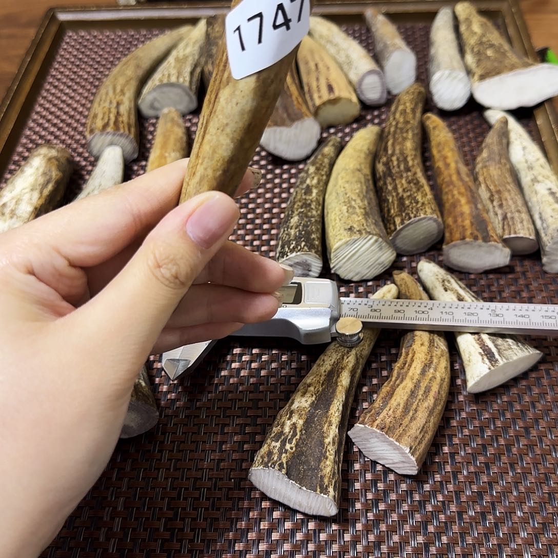 鹿骨手串/手链1747 角尖