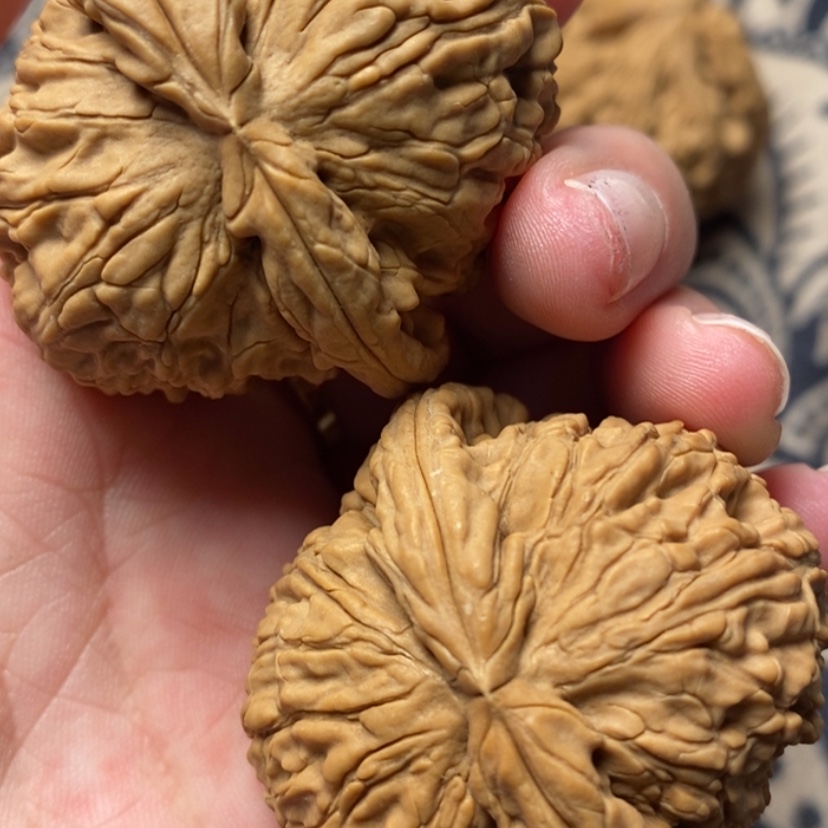 【闪购商品】文玩核桃吊坠純**児白狮