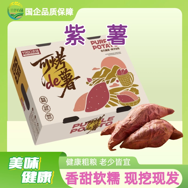 昭供有品高原紫薯软糯香甜可烤着吃的优质粗粮辅食当季现挖现发