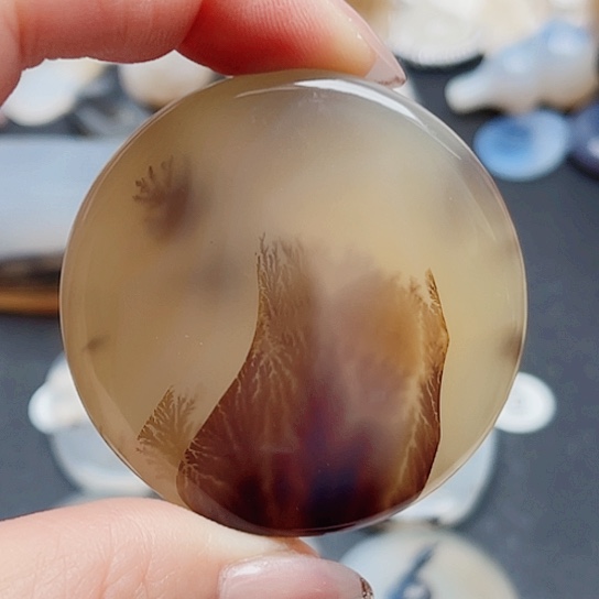 未镶嵌玛瑙/玉髓珠宝奇石