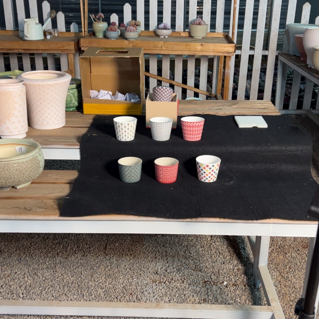 灵****大盆1231-002尘埃姐专拍