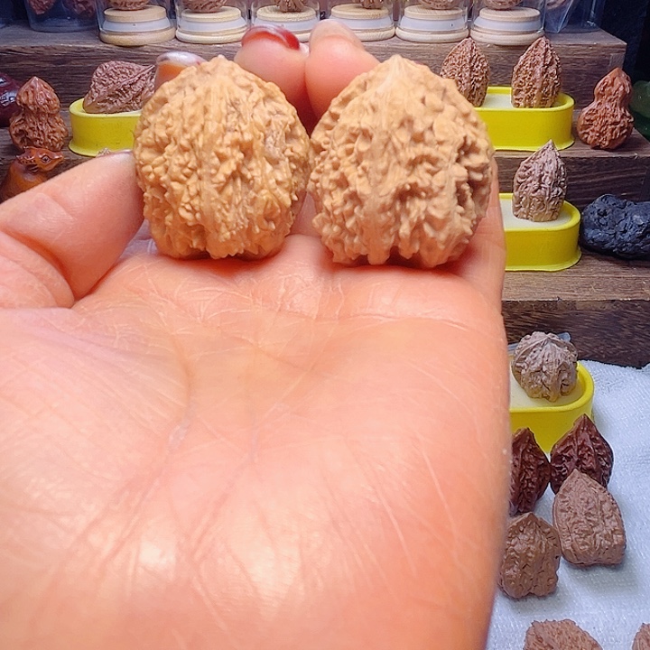 核桃15号车放漏漏漏