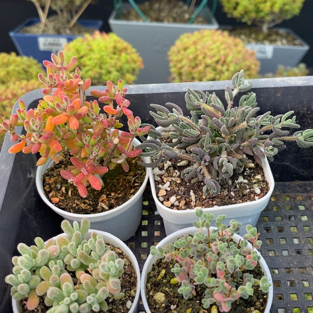 1012福利套餐 。       