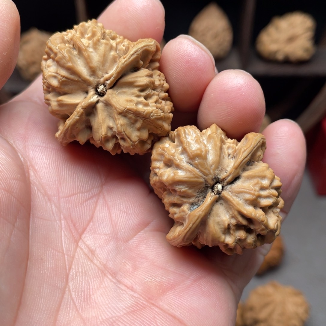 桃核把件36全品观音肚