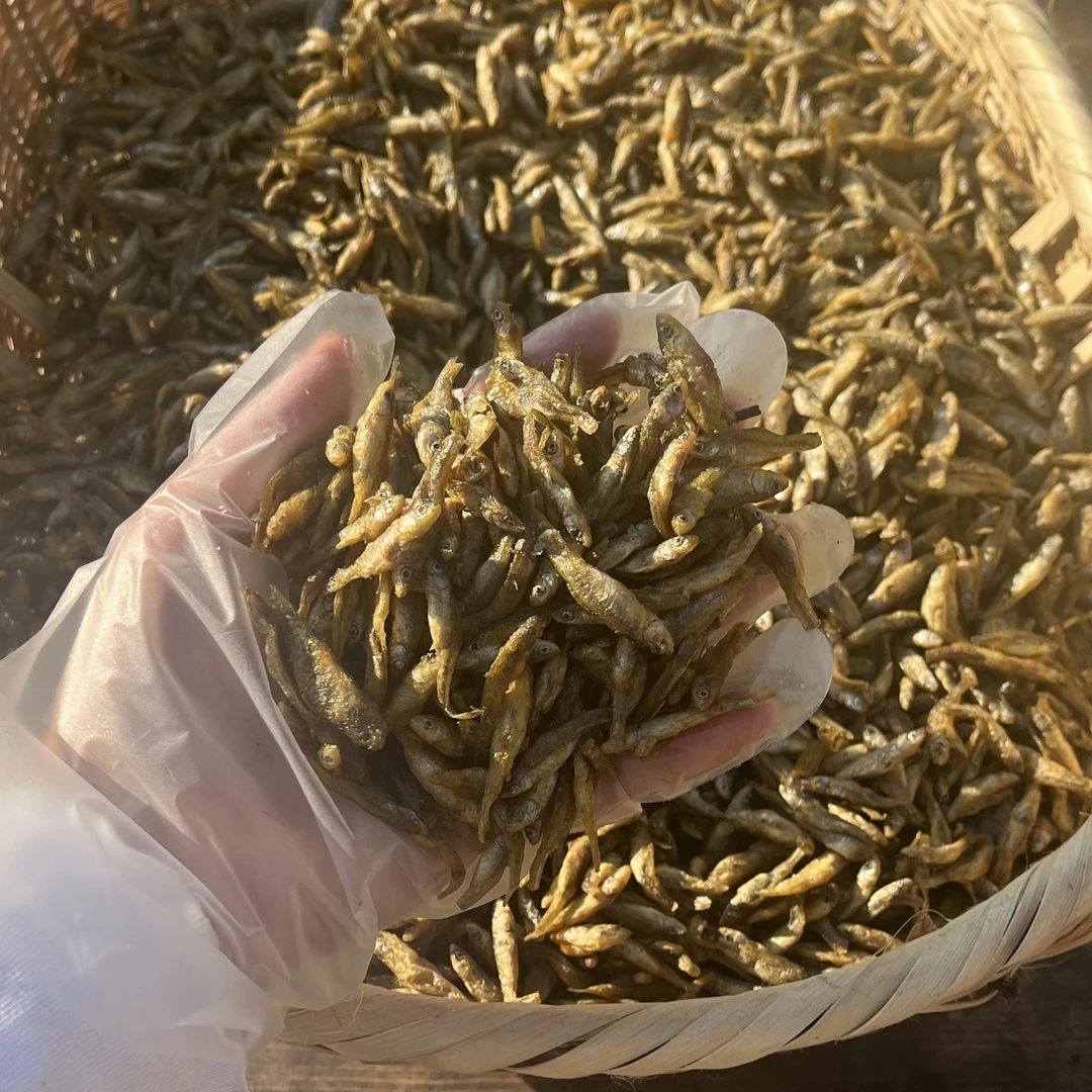 湖南农家淡水小鱼仔 火焙鱼