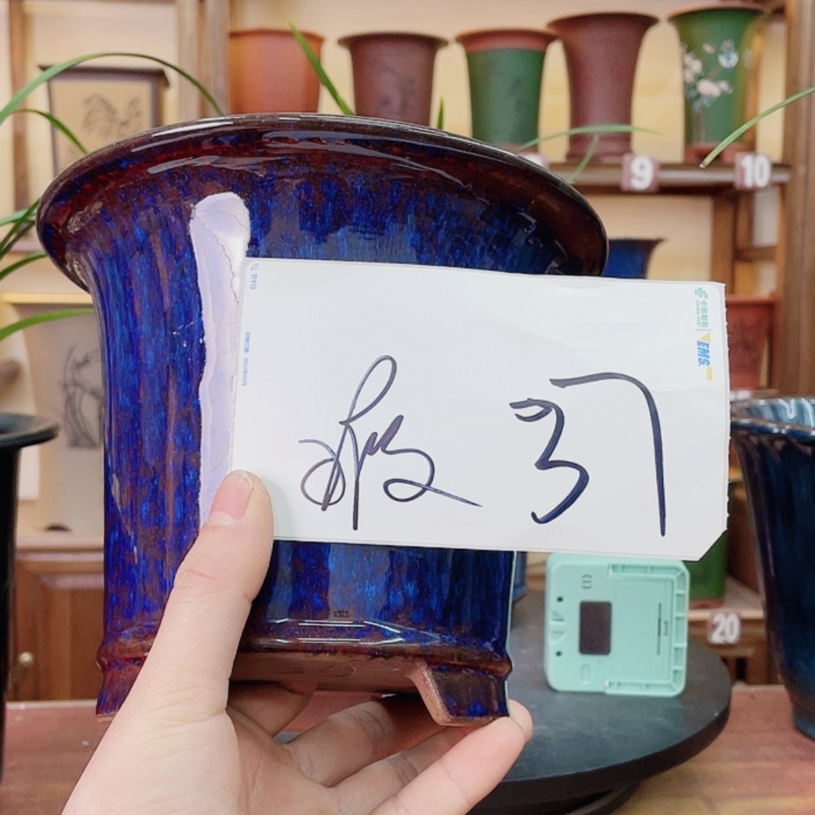 【闪购商品】紫砂花盆小*巴兰花22585515888663588