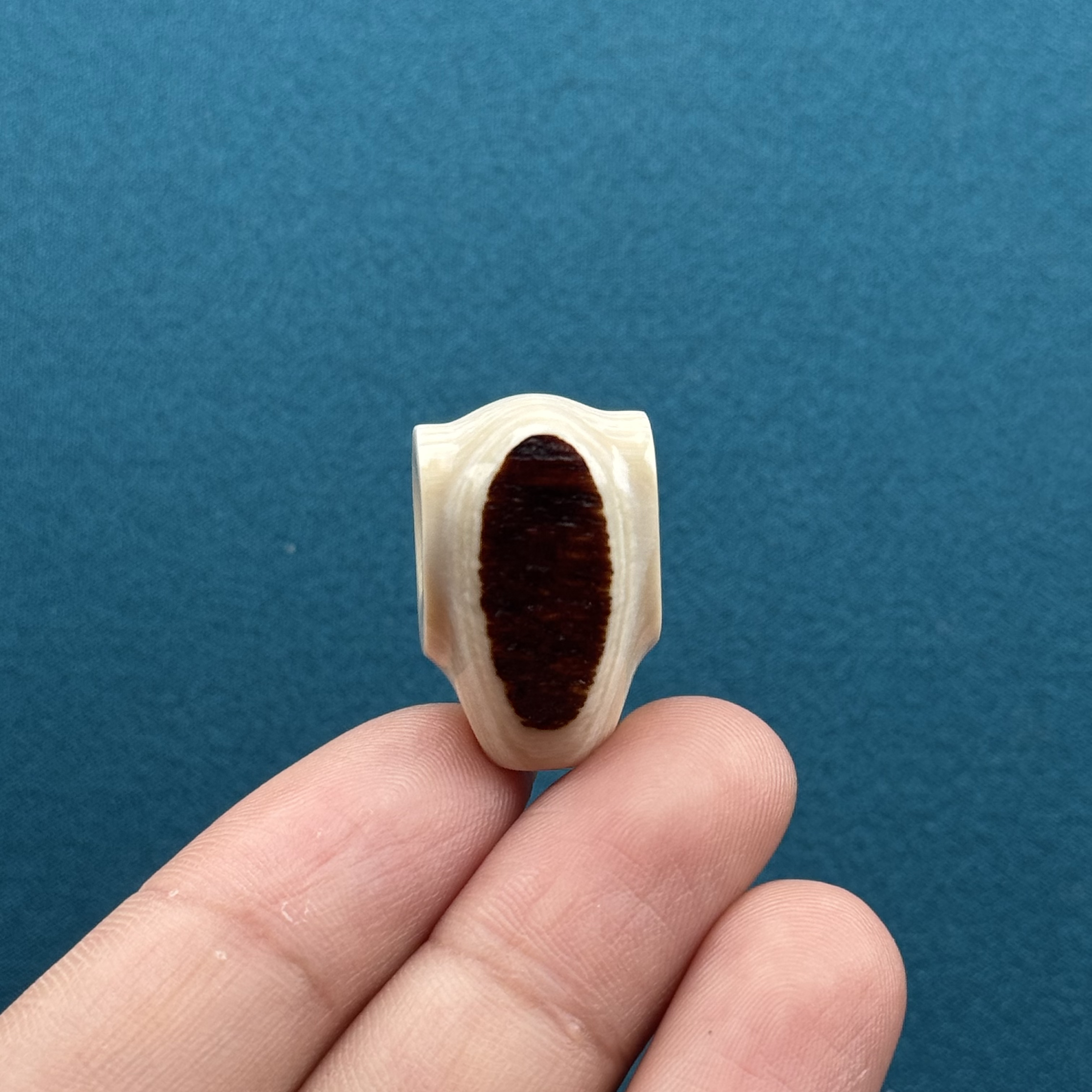 S64-50天然猛犸牙黄金瞳鲨鱼背三通15.4*24mm支持复检假一罚十