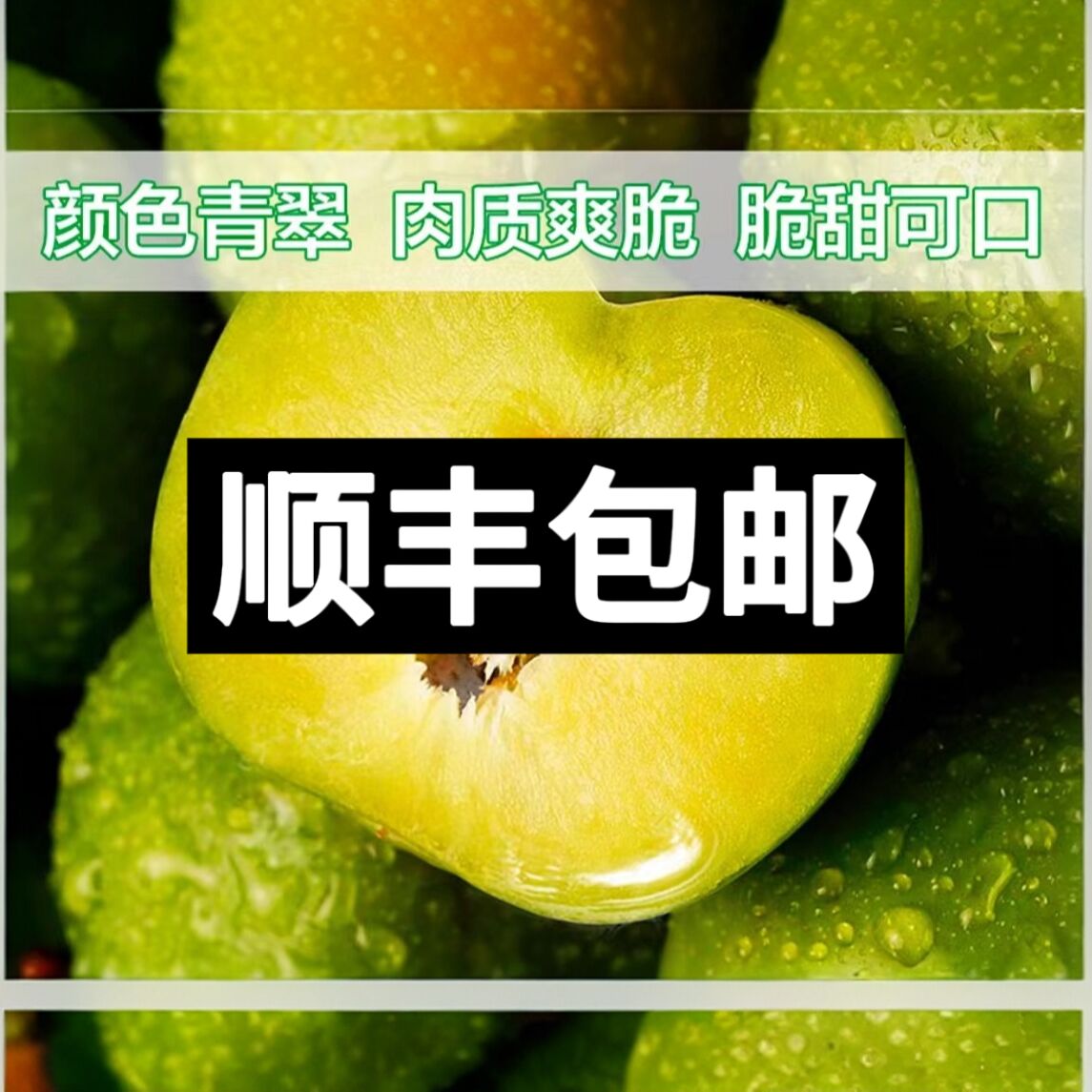 【顺丰包邮】5斤/3斤李子重庆铜梁小林高山青脆李脆甜酸爽口统果