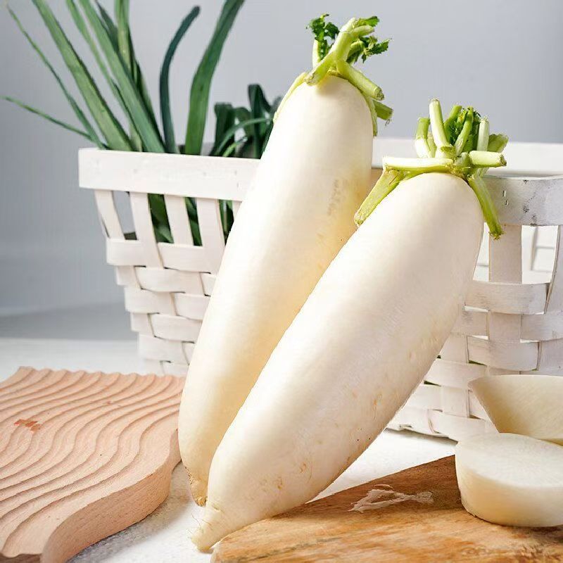白萝卜 约700g-900g/份