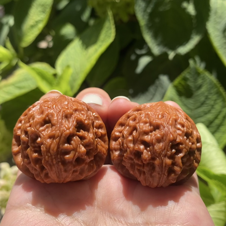 文玩核桃直播间专用链接