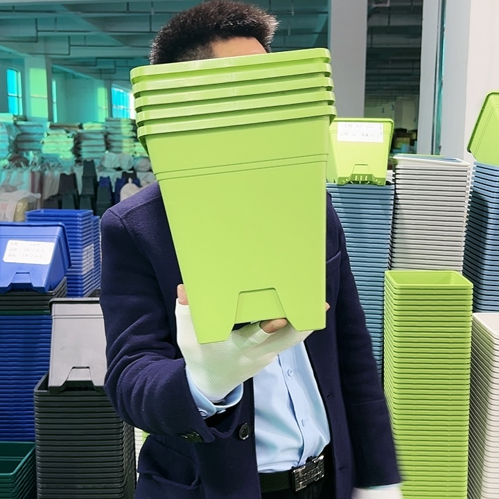 正品方盆口20高22果绿6只无托