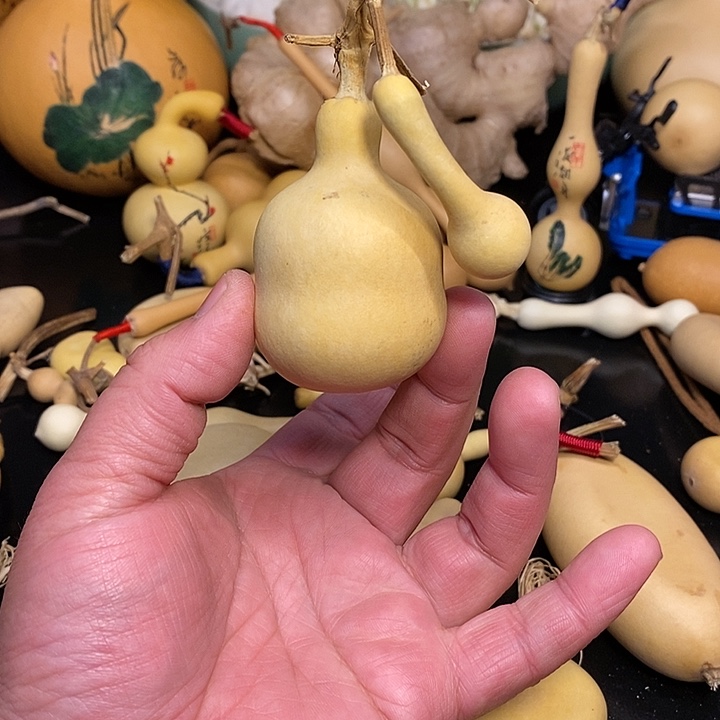 Y****y精品葫芦手把葫芦68