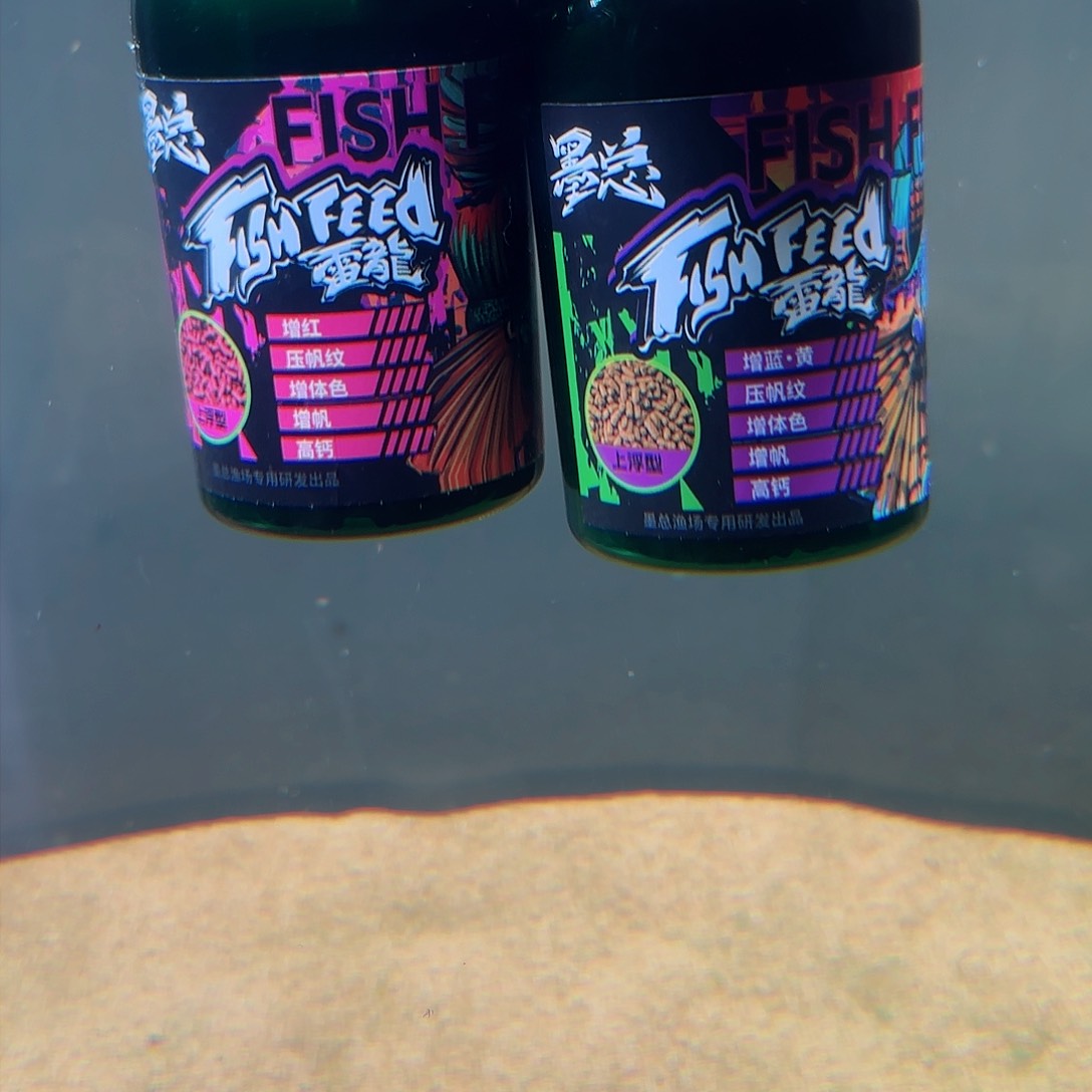 热带鱼公1045555555