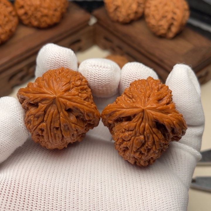 文玩核桃凹底难将