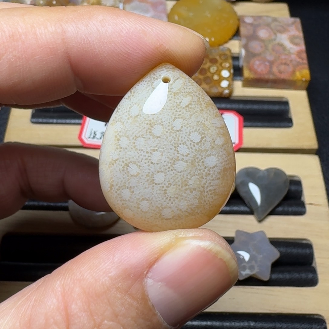 硅化珊瑚（珊瑚玉）纯天然色有机玉石未镶嵌快****陈