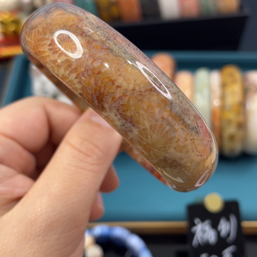 未镶嵌手镯硅化玉