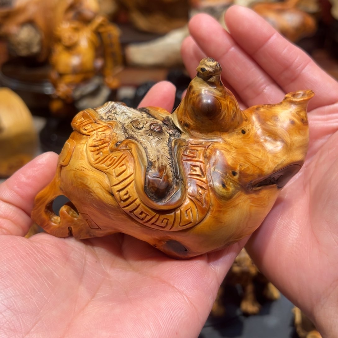 柏木1357888899999999