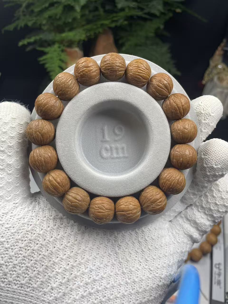 「云皓文玩」毕业级猴头核桃凤羽14mm