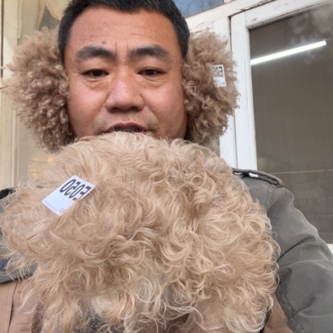 山羊皮真皮真毛进口羊皮50.51