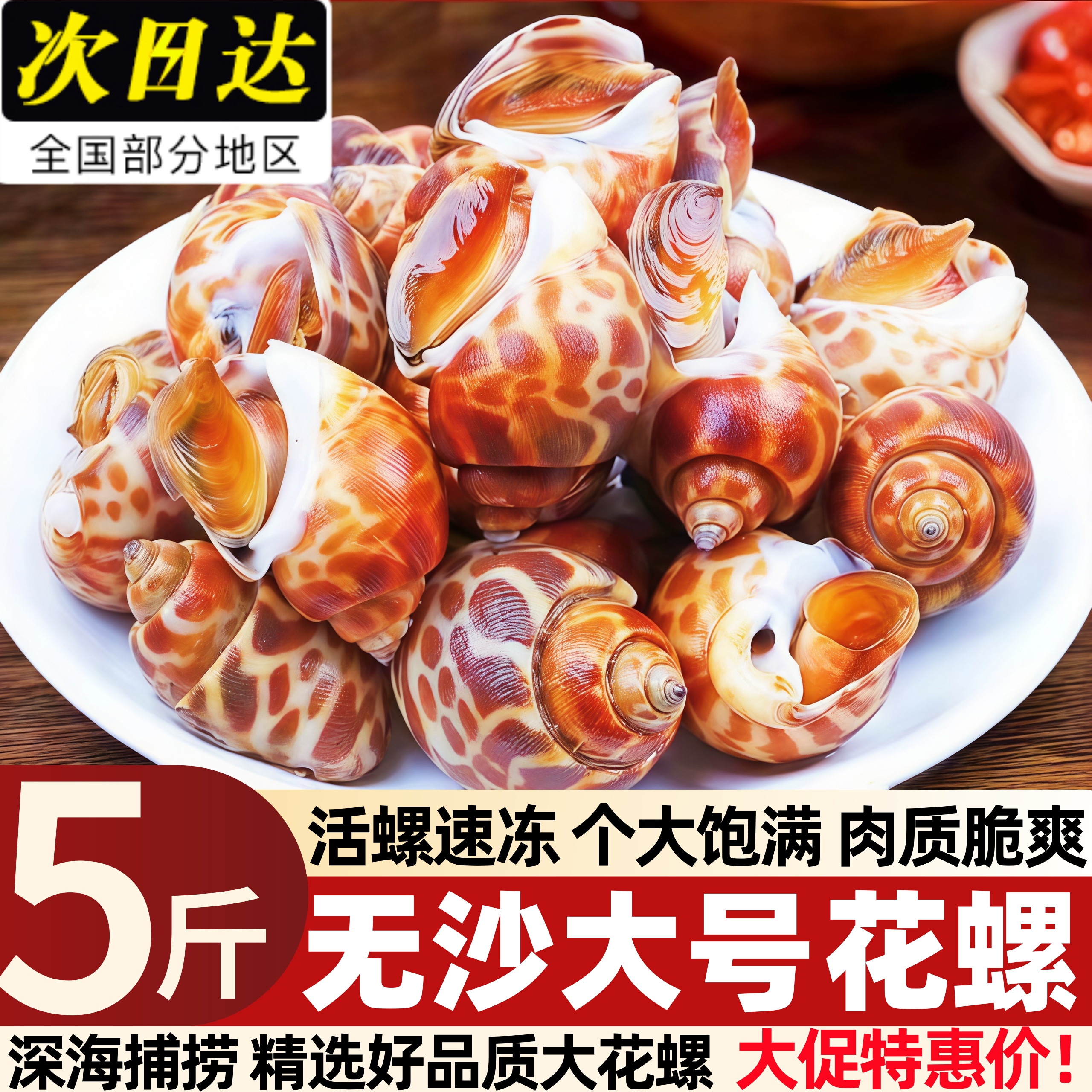 新鲜大号花螺深海捕捞冷冻锁鲜海螺海鲜螺东风螺顺丰包邮