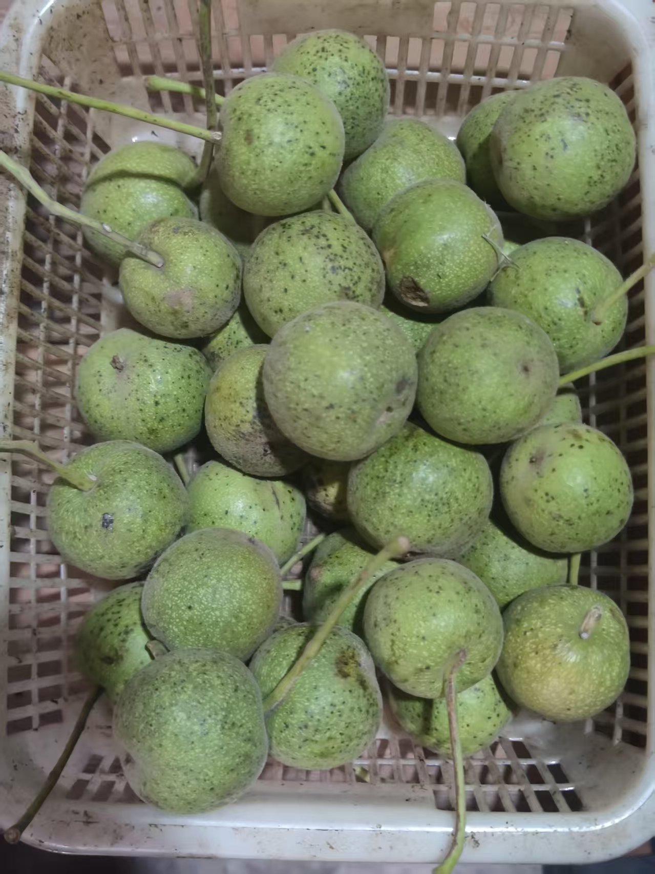 磨盘文玩核桃6个