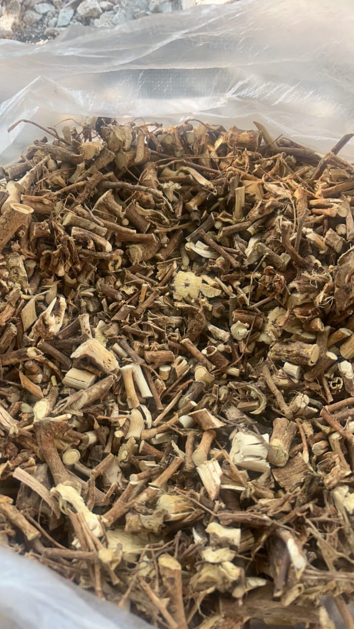 云南板蓝根，泡水泡茶去火