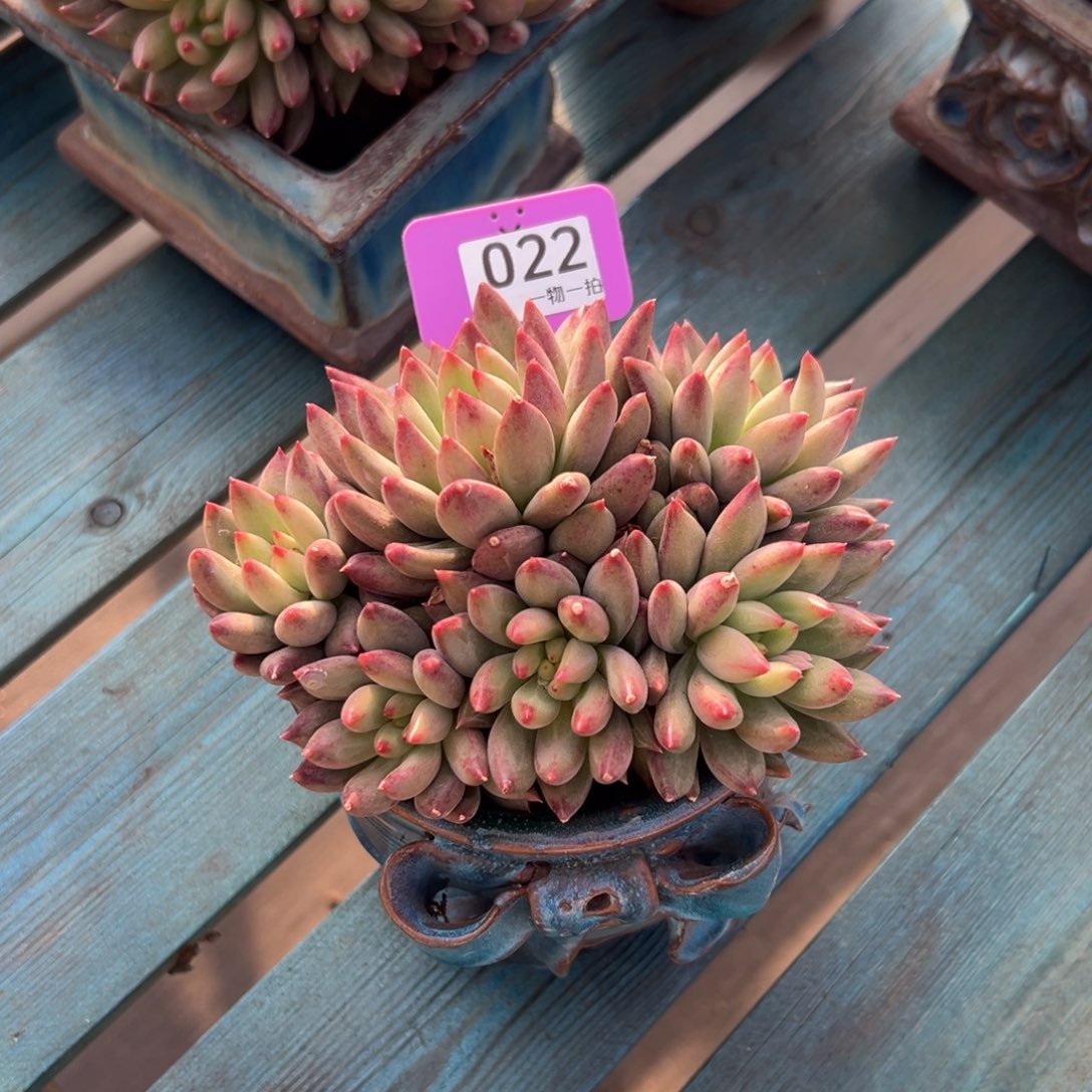 静****22、法国的孤独感方不方便发