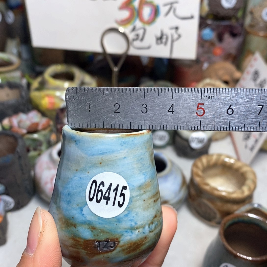 花盆拍5送一个小礼物