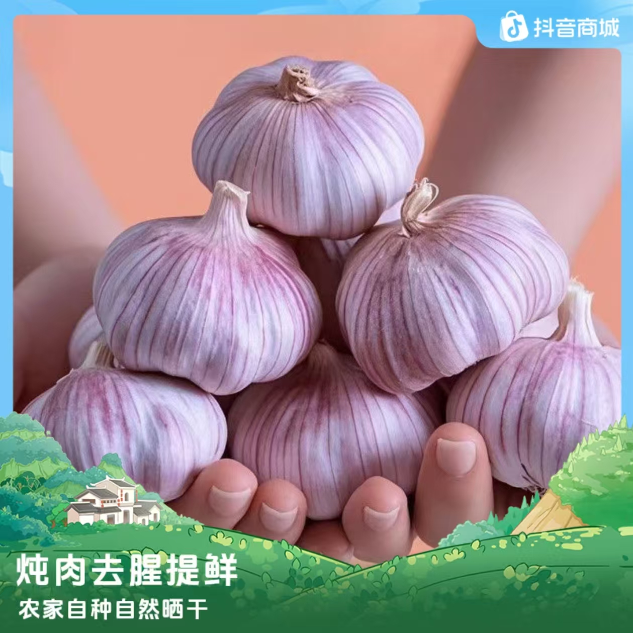 低价冲量2025正宗紫皮大蒜山东批发紫白皮新鲜干蒜红皮农家大蒜