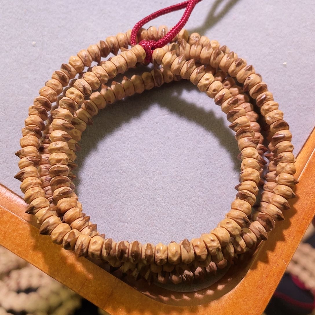 百香籽 红油皮 小药片 带红牙口