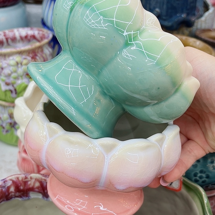 多肉植物陶瓷花盆