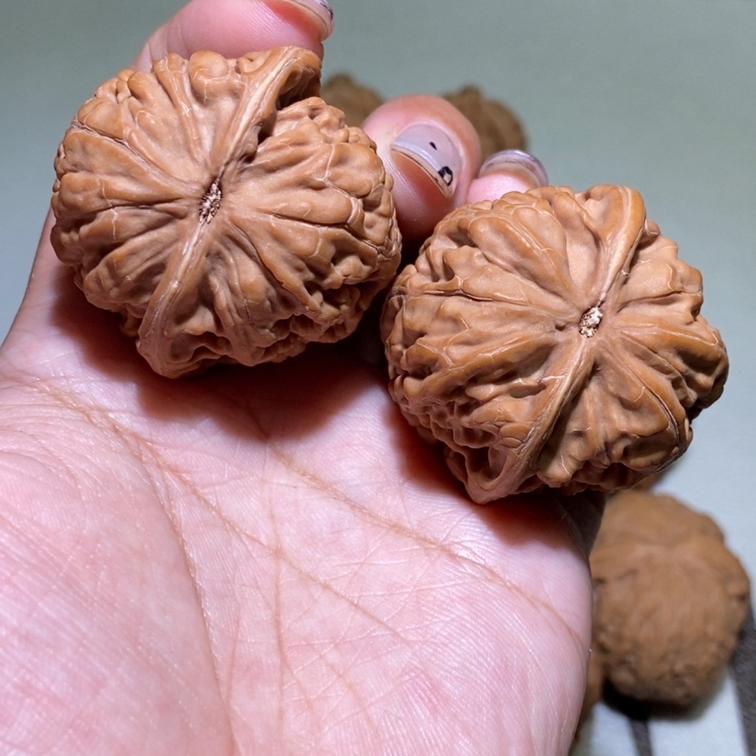 小***了手串/手链核桃凤凰台