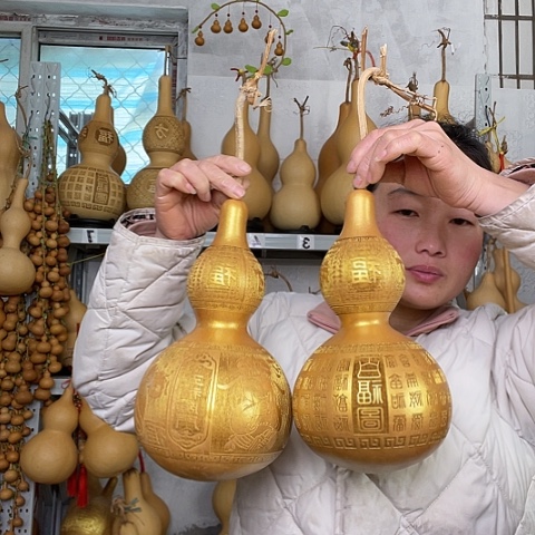 天然植物葫芦文玩