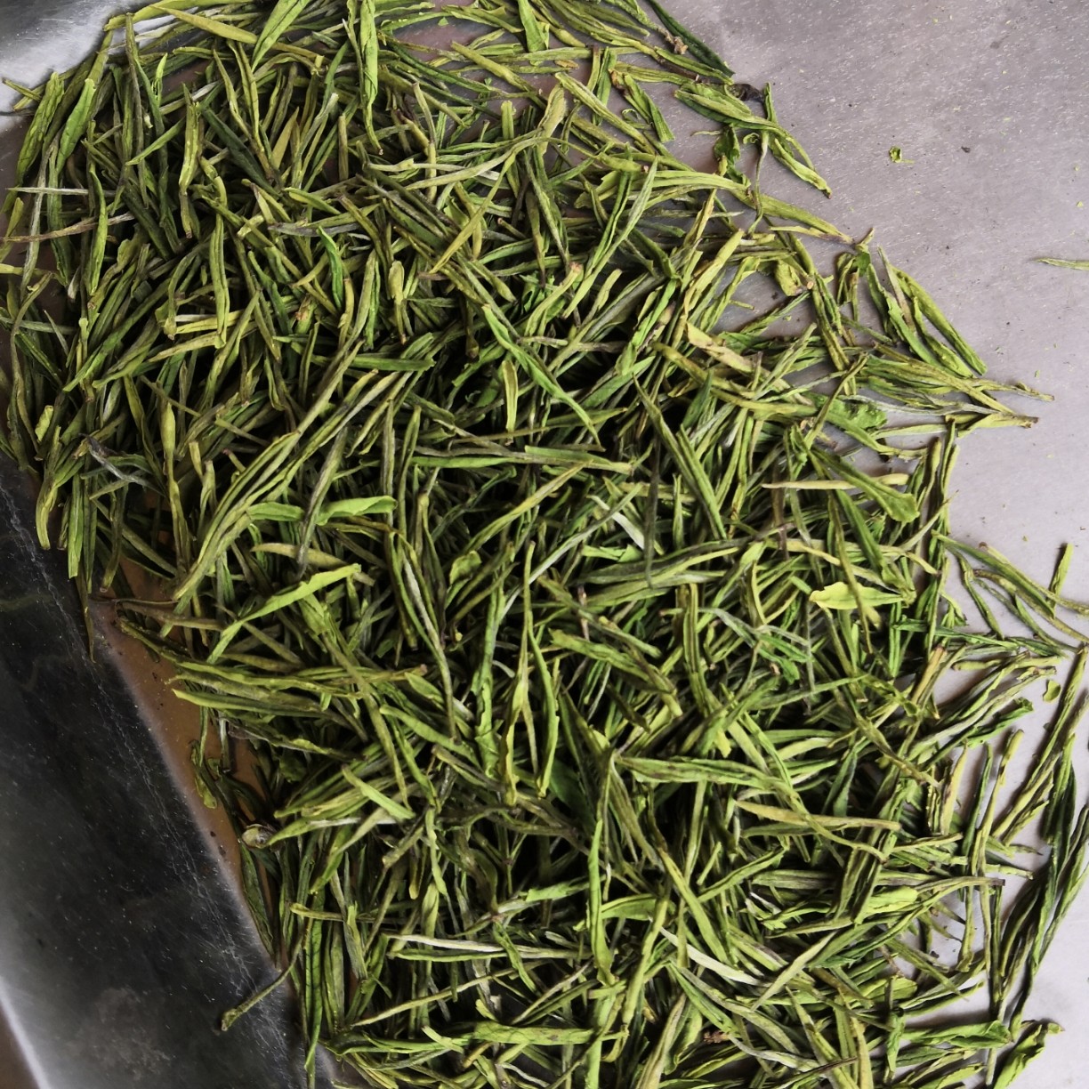 黄山毛峰，高山茶园，香味浓厚